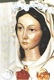 rosa mystique